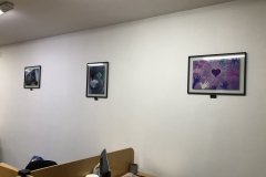 Da ciência à prática | Relatório social 2005 | Direitos negados