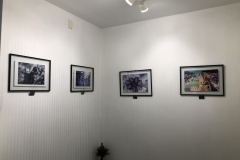 O progresso das mulheres no Brasil | Situação da infância brasileira 2006 | Relatório social 2004 | Relatório social 2003